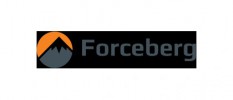 Forceberg